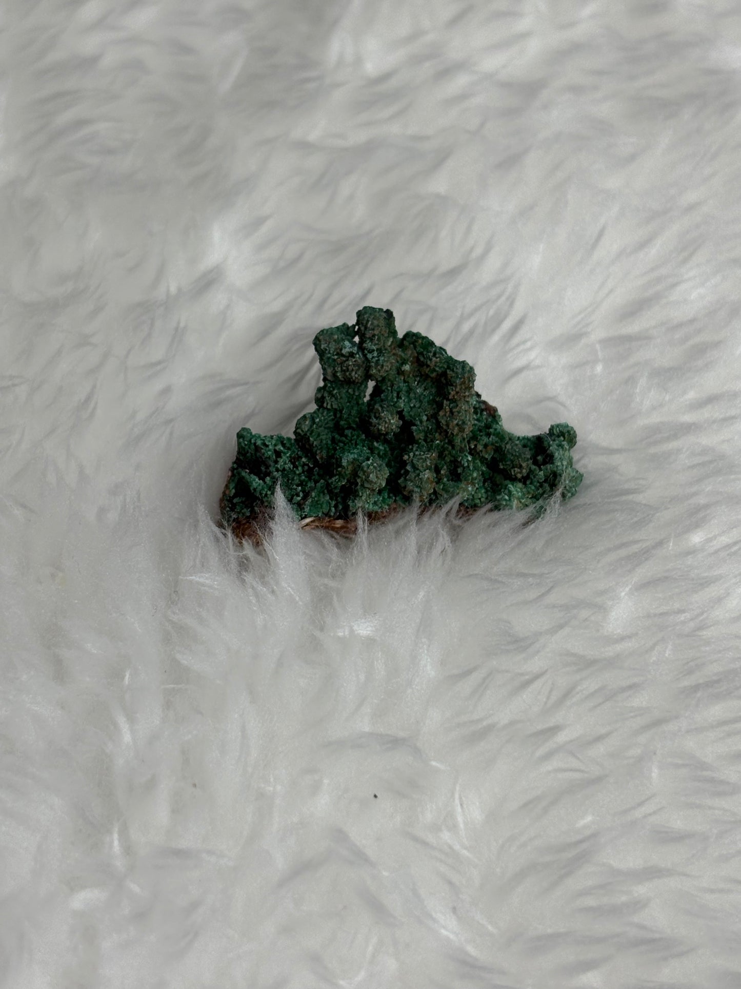 Botroydal malachite