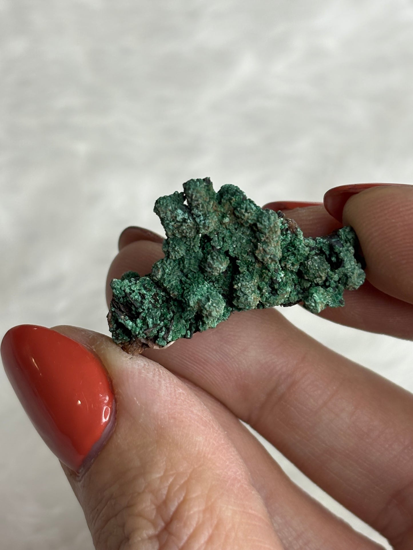 Botroydal malachite