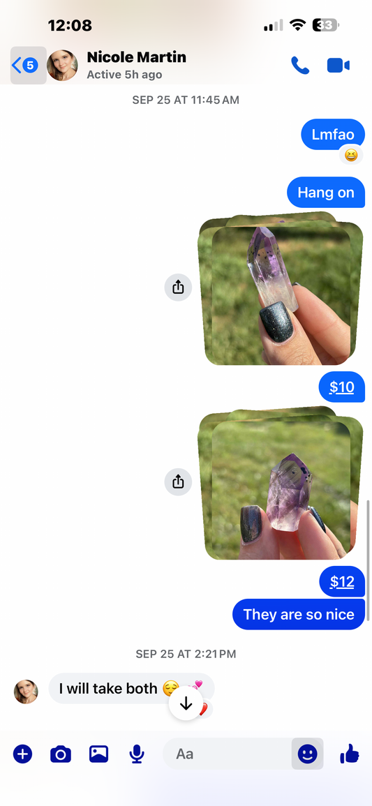 Nicole Martin amethyst w/ Hollandite